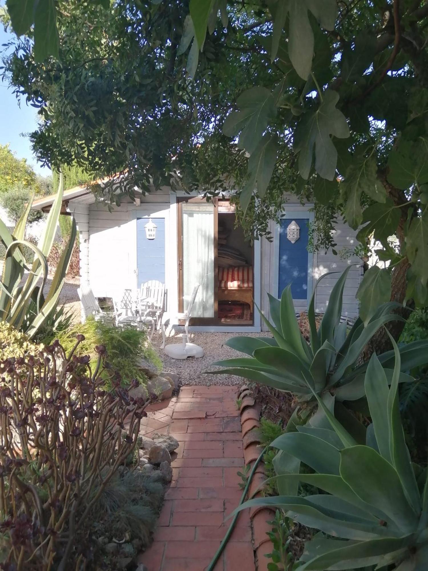 לינה וארוחת בוקר סאו בראס דה אלפורטל Casa Mimosa מראה חיצוני תמונה